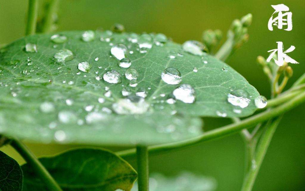 雨水！